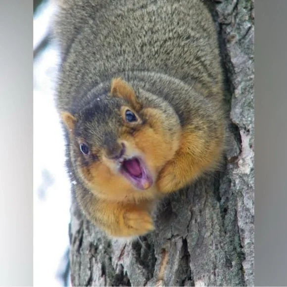 Jill is LIVE! - Picture 12 of 13